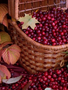 Рекомендации по хранению ягод клюквы