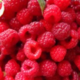 Крупные ягоды малины